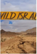 野性以色列